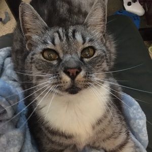 Meet your Posher, Ann